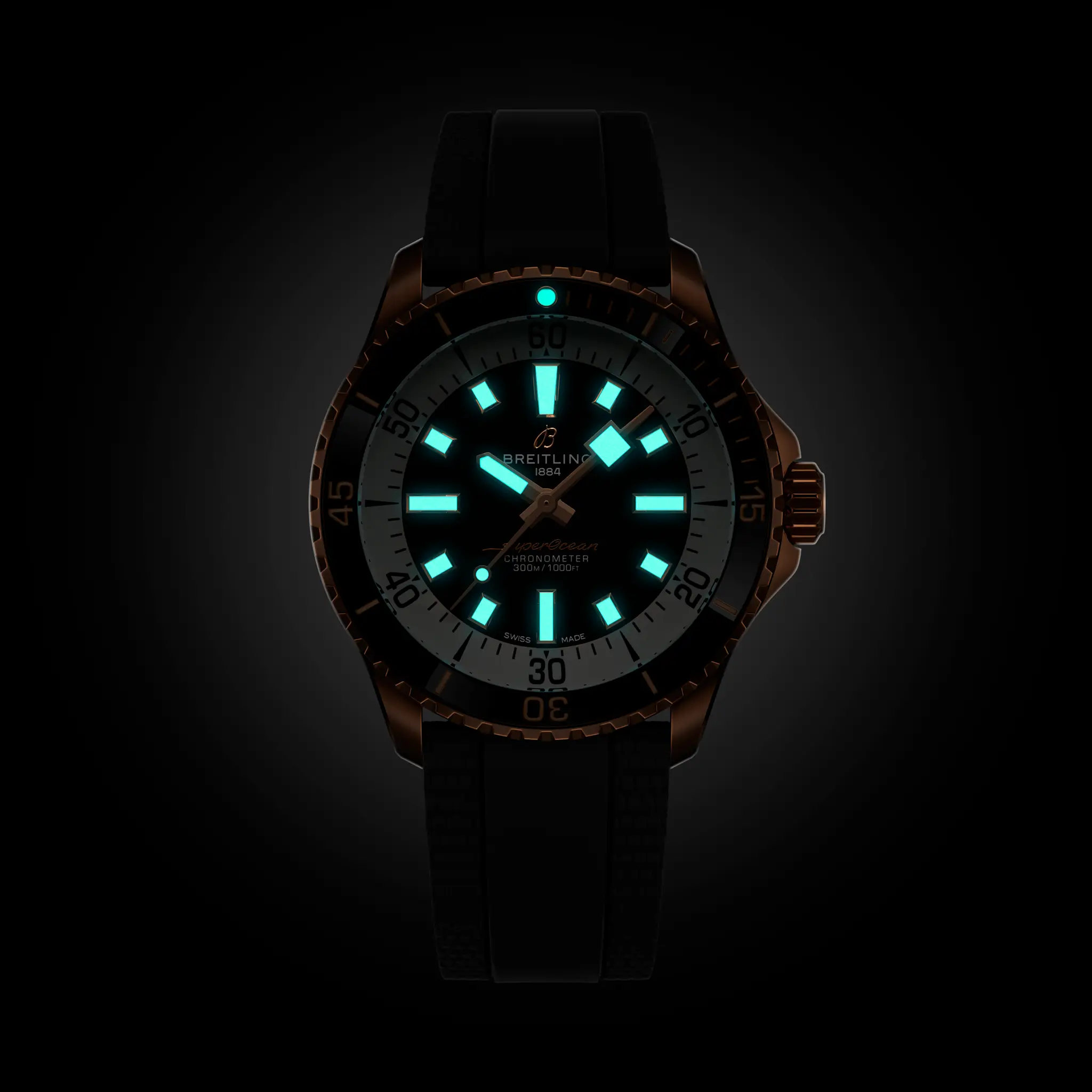 Superocean Automatic 42 - R17375211B1S1 | Breitling
