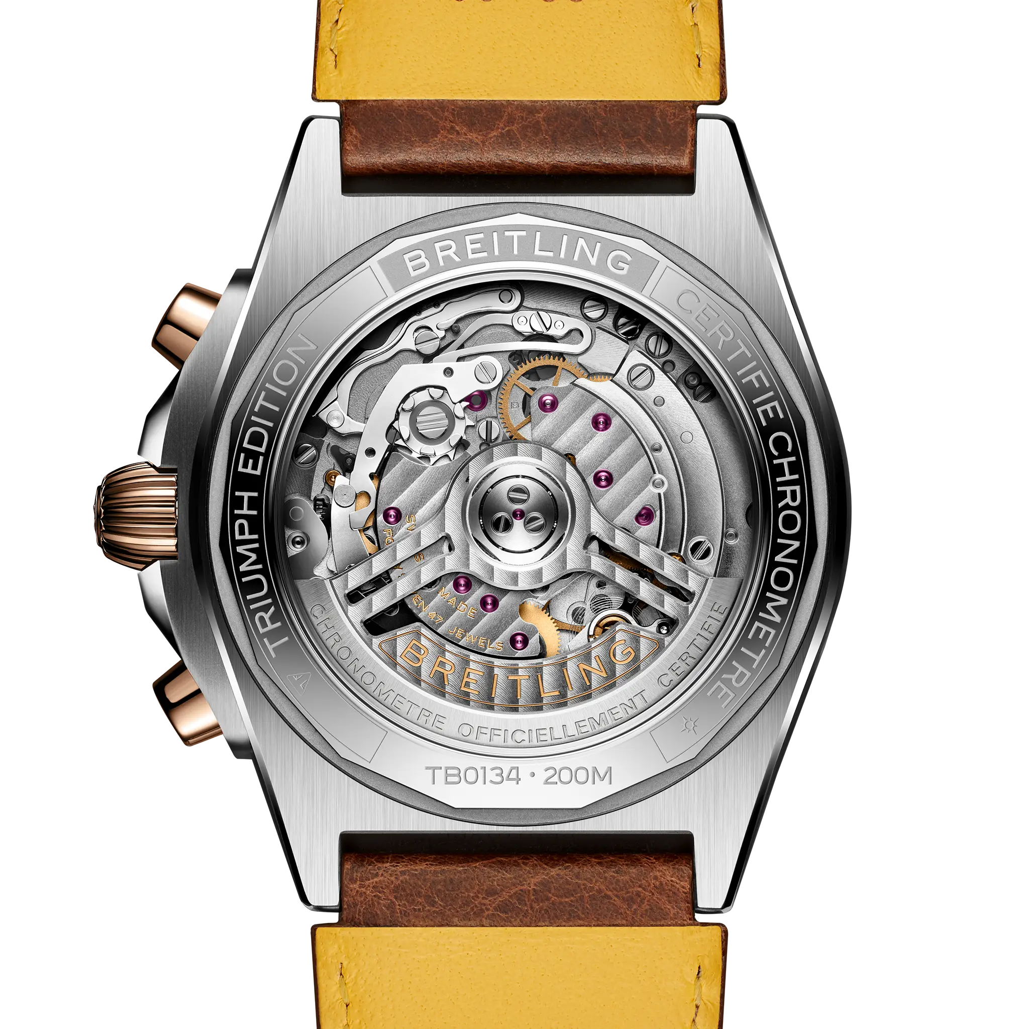 Chronomat B01 42 Triumph - TB0134101M1X1 | Breitling